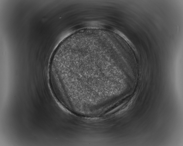 X0000086030853200704131911