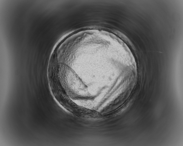 X0000086030855200704131911