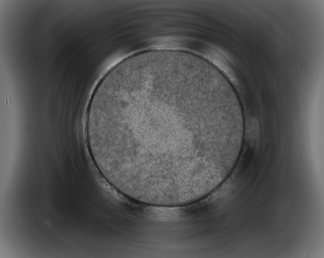 X0000086030856200704131911