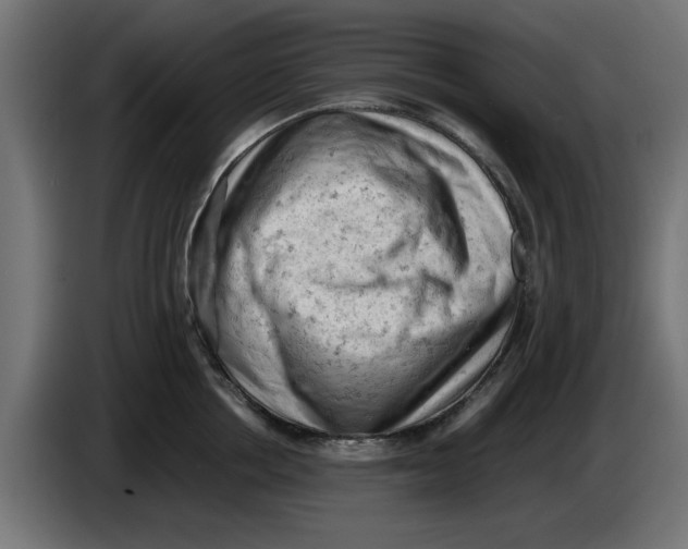 X0000086030858200704131911