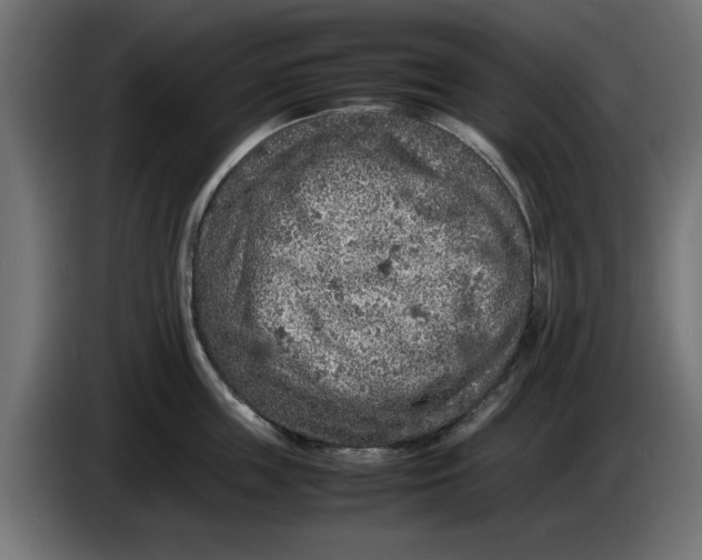 X0000086030859200704131911