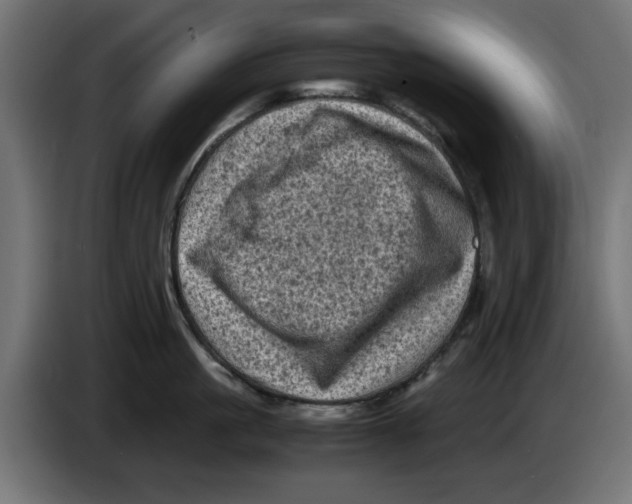 X0000086030861200704131911