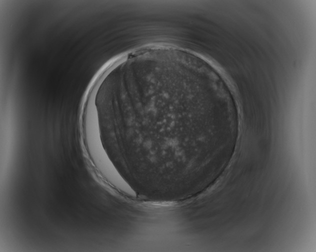 X0000086030864200704131911