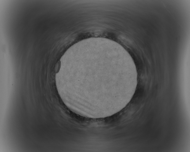 X0000086030865200704131910