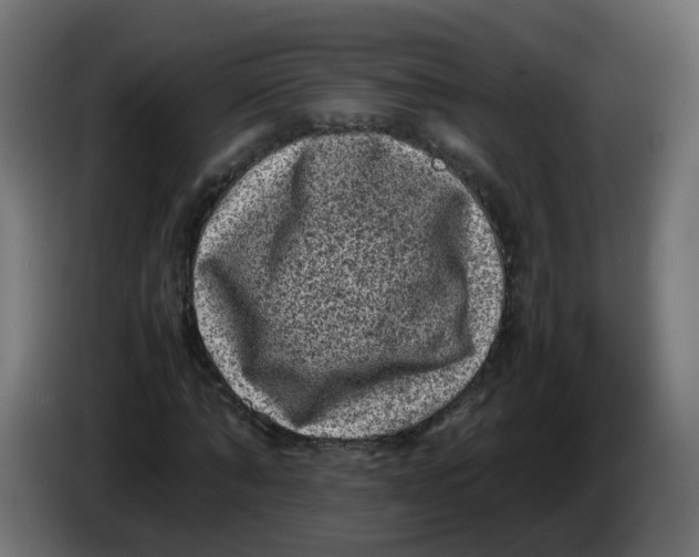 X0000086030870200704131910