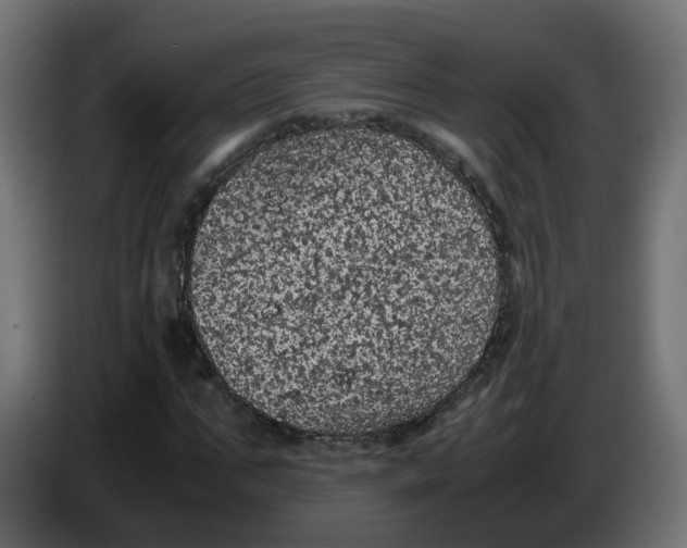 X0000086030871200704131910