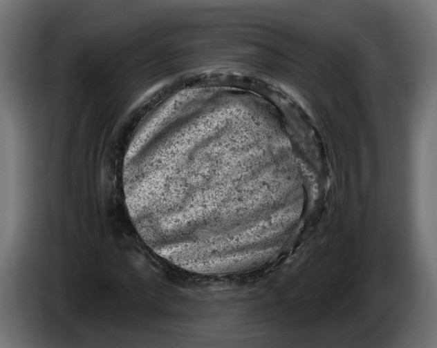 X0000086030872200704131910