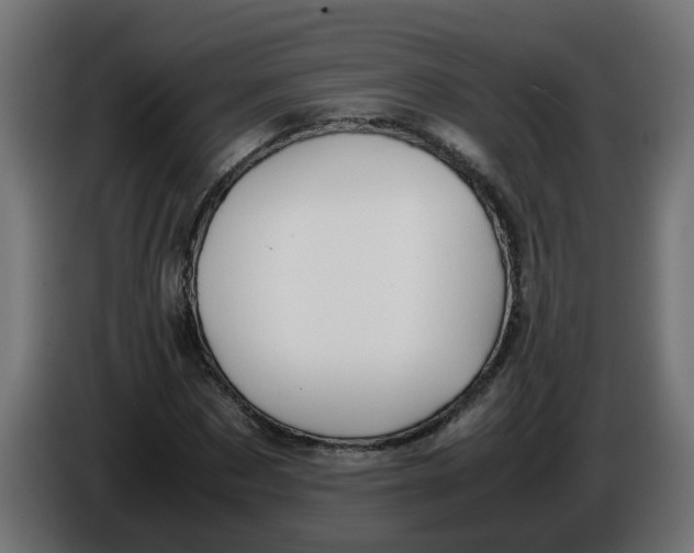 X0000086030873200704131910