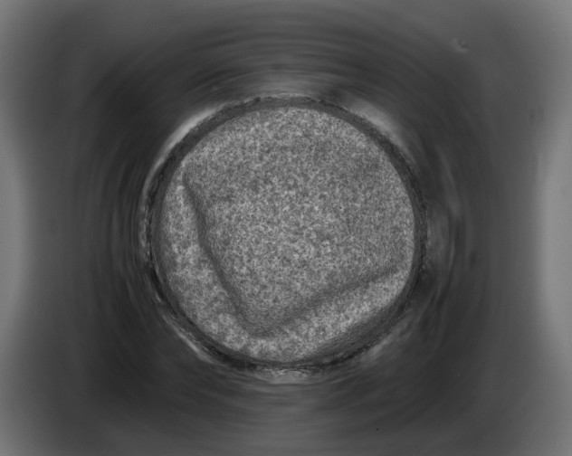 X0000086030878200704131910