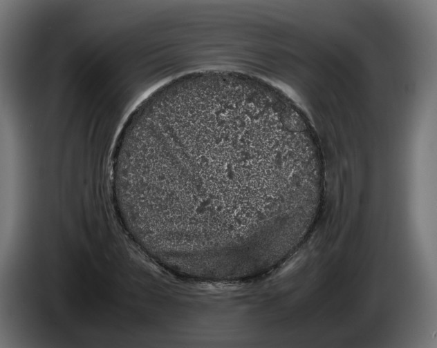 X0000086030879200704131910