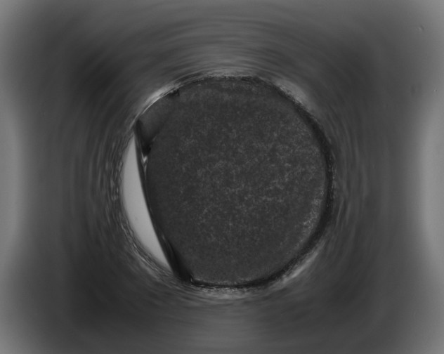 X0000086030881200704131910