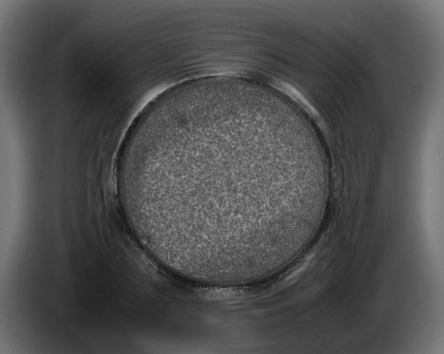 X0000086030883200704131910