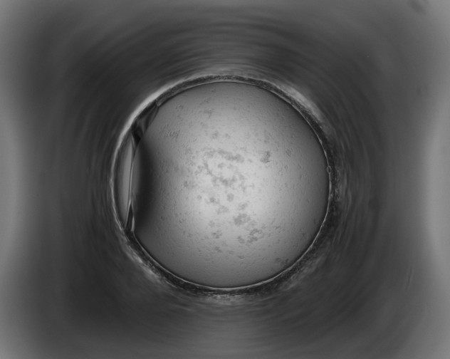 X0000086030888200704131910