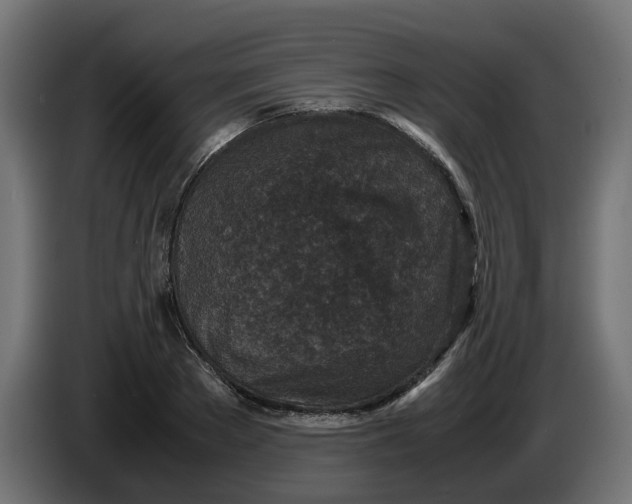 X0000086030889200704131910