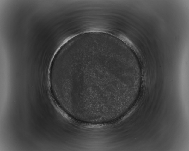 X0000086030892200704131910