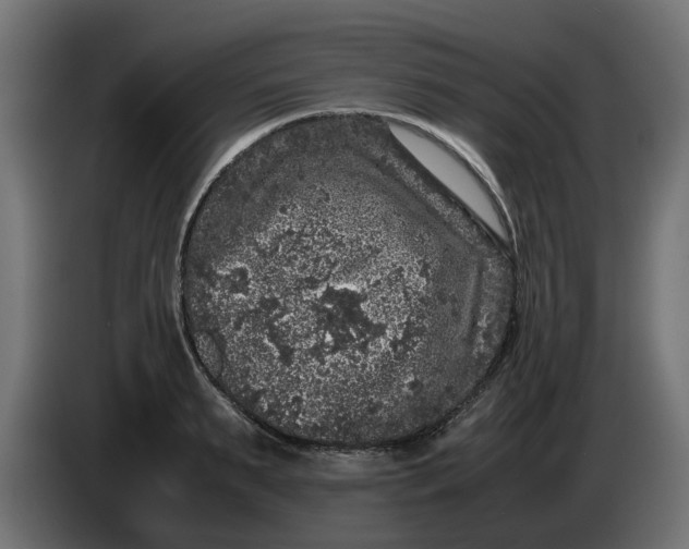 X0000086030895200704131910