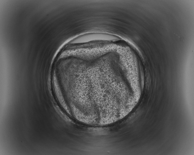 X0000086030896200704131910