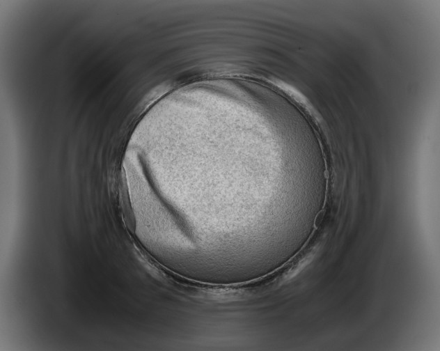 X0000086030897200704131910