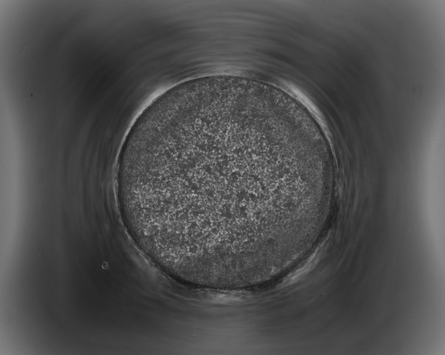 X0000086030899200704131910