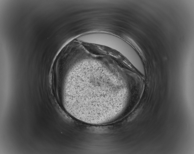 X0000086030900200704131910