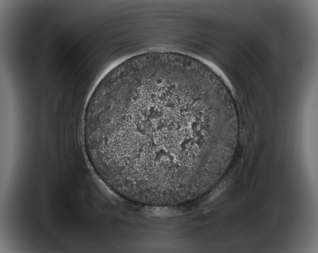 X0000086030903200704131910