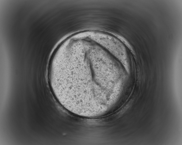 X0000086030904200704131910