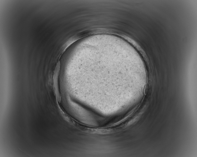 X0000086030905200704131910