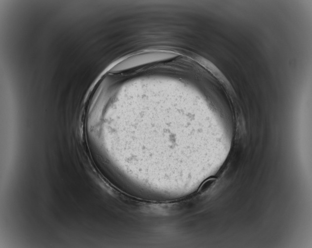 X0000086030908200704131910