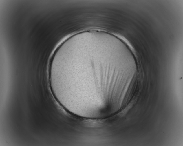 X0000086030910200704131910