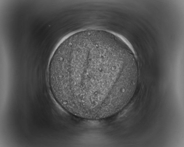 X0000086030911200704131910