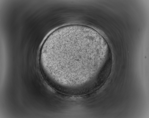 X0000086030912200704131910