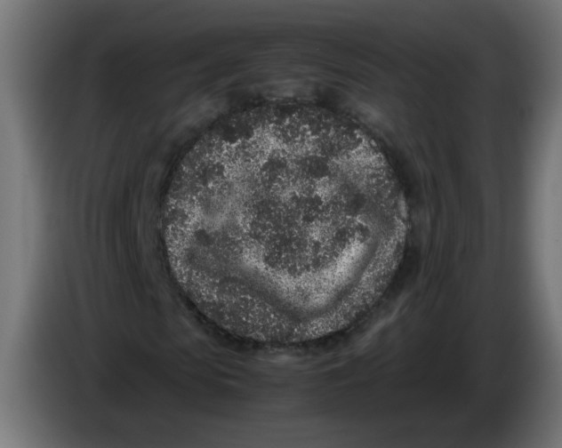 X0000086030913200704131909