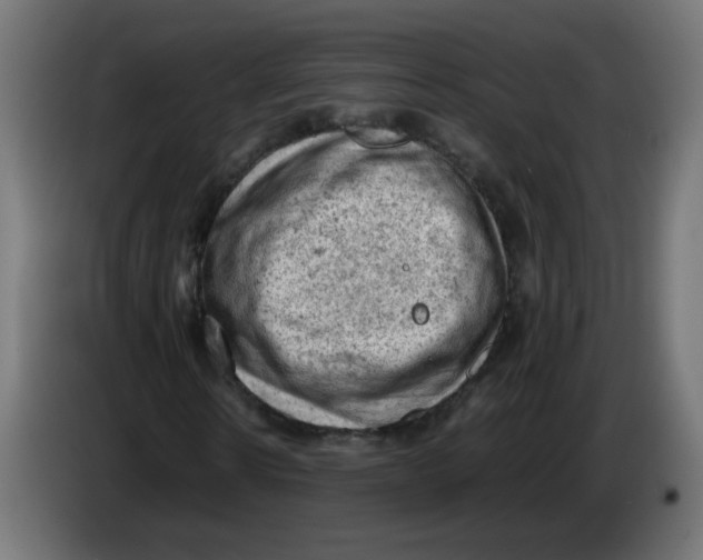 X0000086030914200704131909