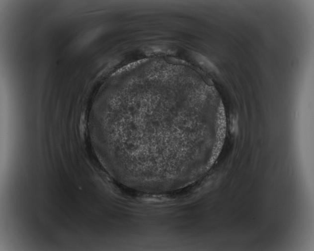 X0000086030915200704131909