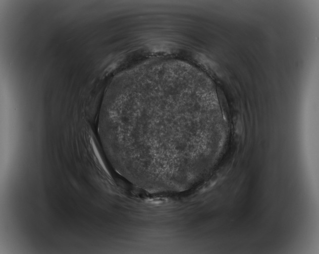 X0000086030916200704131909