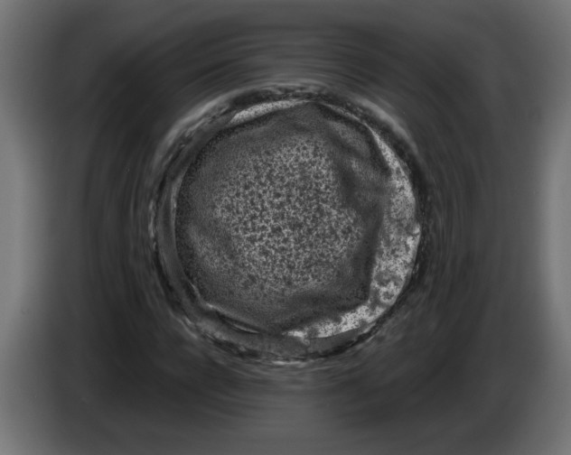 X0000086030920200704131909