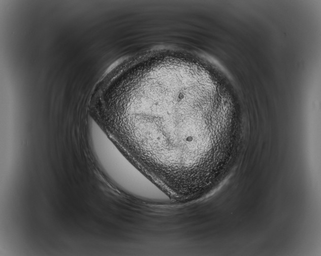 X0000086030921200704131909