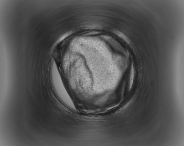 X0000086030922200704131909