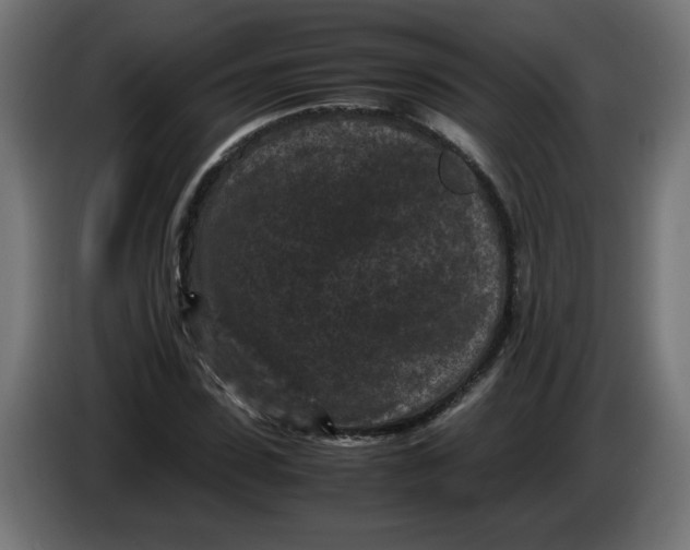 X0000086030923200704131909