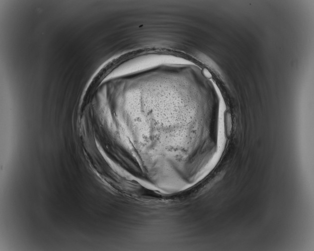 X0000086030924200704131909