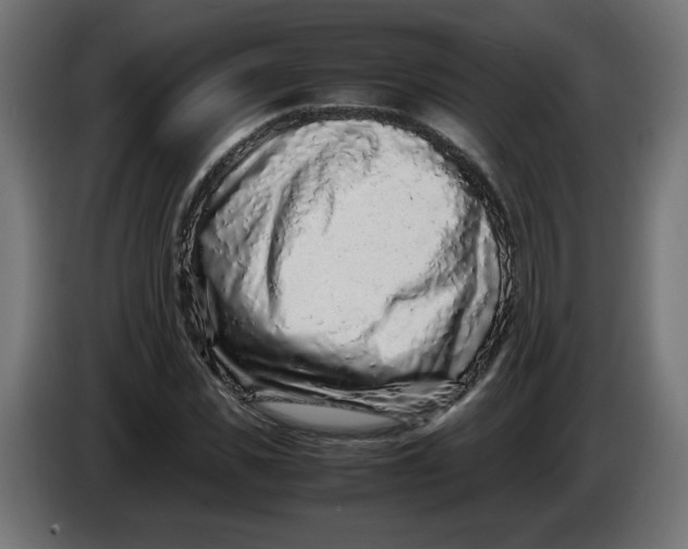 X0000086030925200704131909