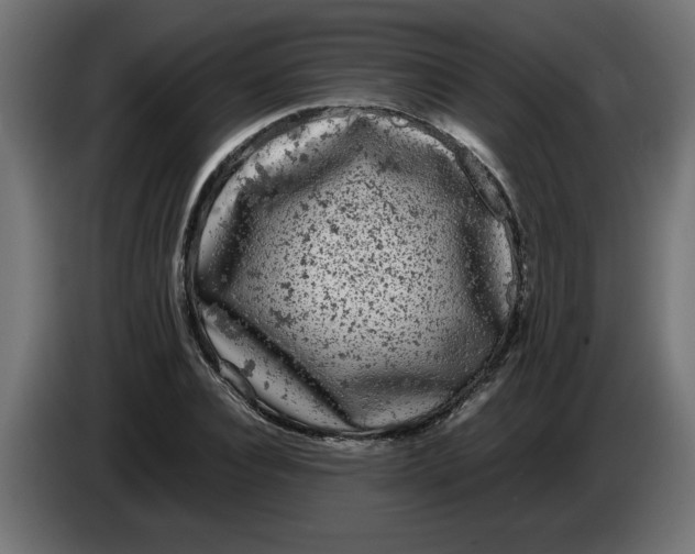 X0000086030928200704131909