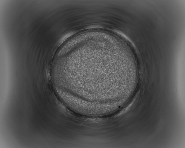 X0000086030929200704131909