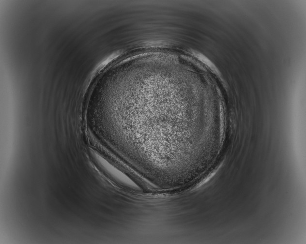 X0000086030930200704131909