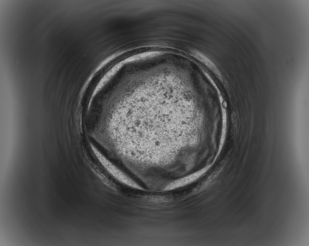 X0000086030931200704131909