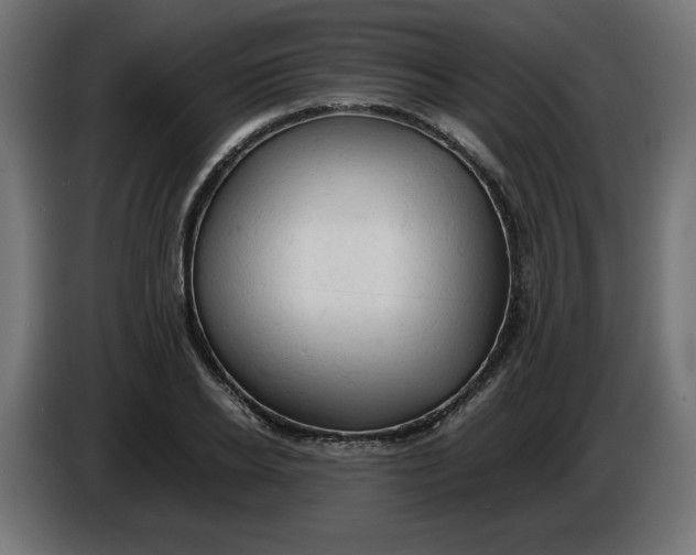 X0000086030934200704131909