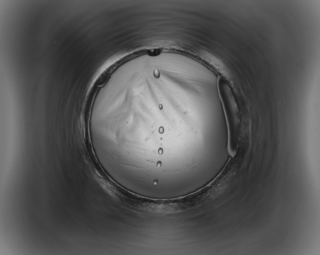 X0000086030936200704131909