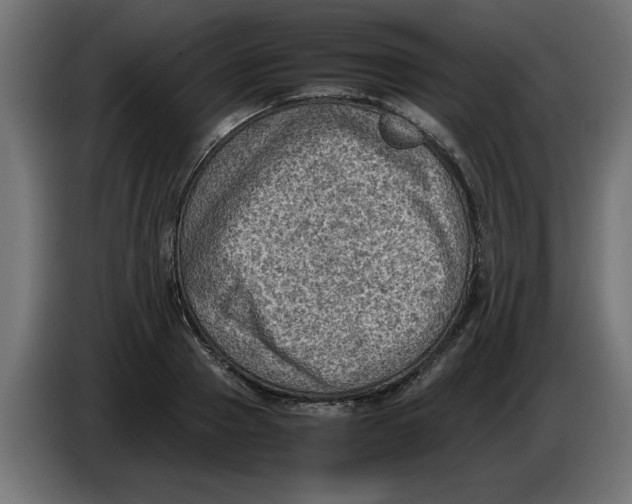 X0000086030937200704131909