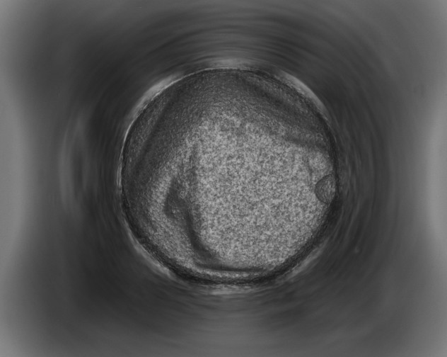 X0000086030938200704131909