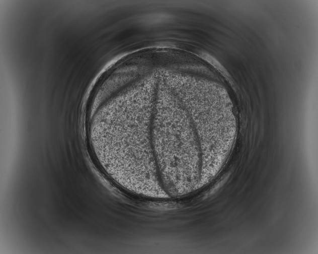 X0000086030939200704131909